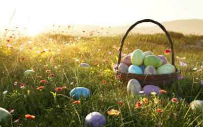 Eggcellent teamwork: How do you crack the Easter egg hunt?