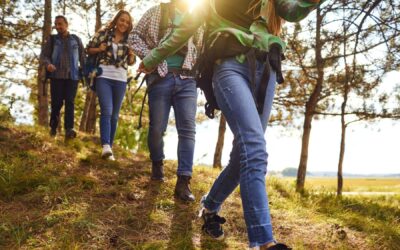 The power of the collective: A journey across two coasts