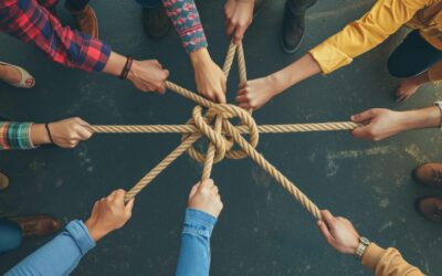 Resilience: solo endeavour or team affair?